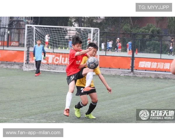 球队在赛季中展现出稳定的战术执行力，球赛战术分析